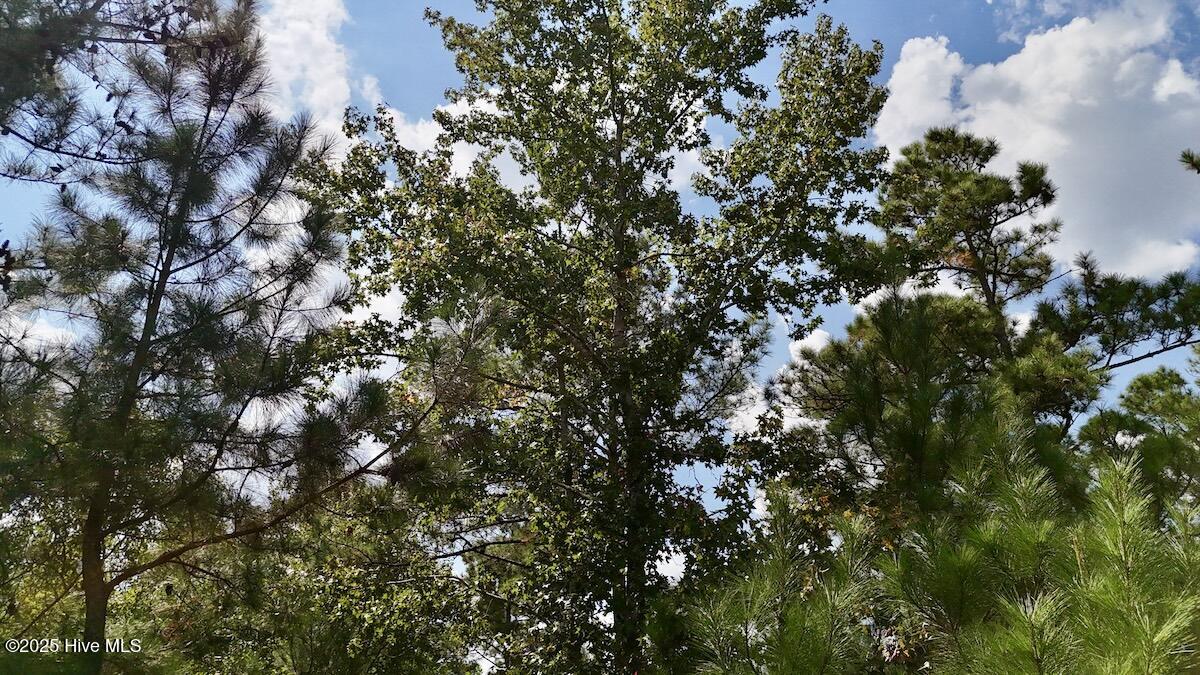 0 7th Street Lumberton, NC 28358 - Photo 18 of 30 18