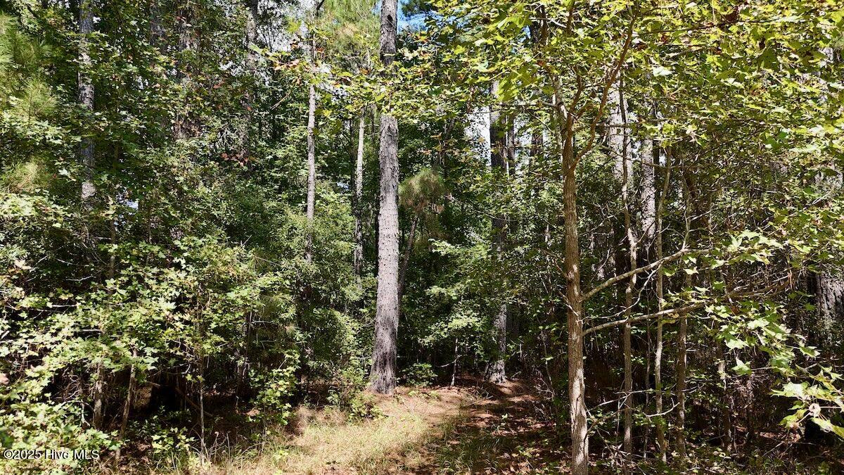 0 7th Street Lumberton, NC 28358 - Photo 20 of 30 20