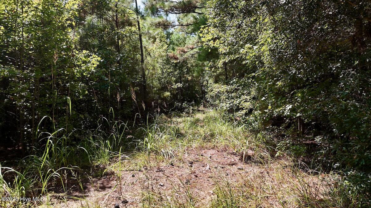 0 7th Street Lumberton, NC 28358 - Photo 21 of 30 21