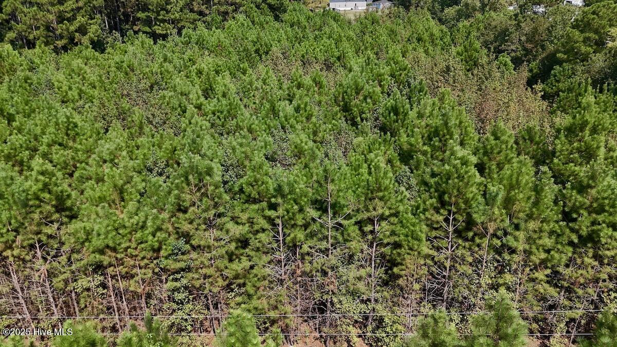 0 7th Street Lumberton, NC 28358 - Photo 22 of 30 22