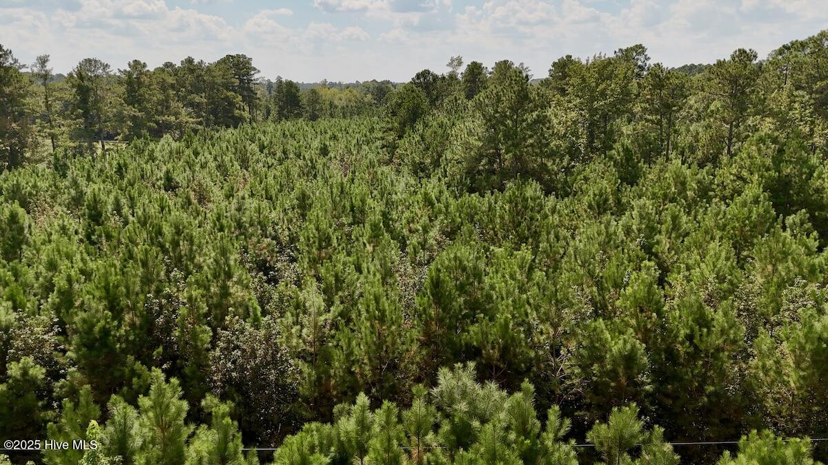 0 7th Street Lumberton, NC 28358 - Photo 23 of 30 23