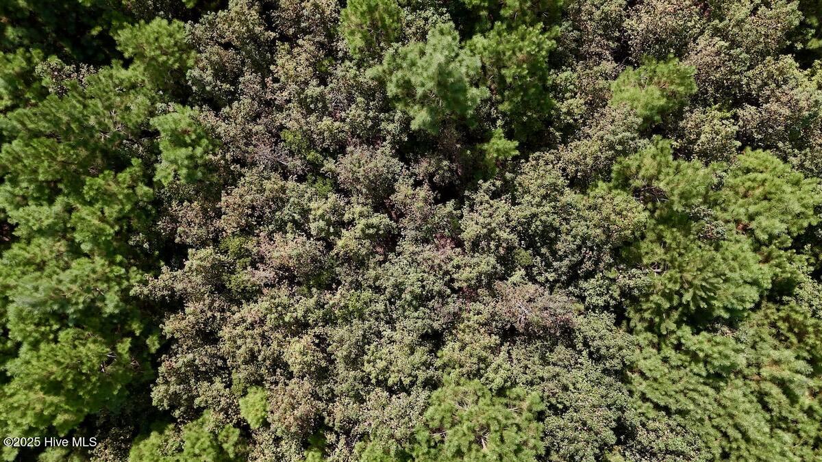 0 7th Street Lumberton, NC 28358 - Photo 26 of 30 26