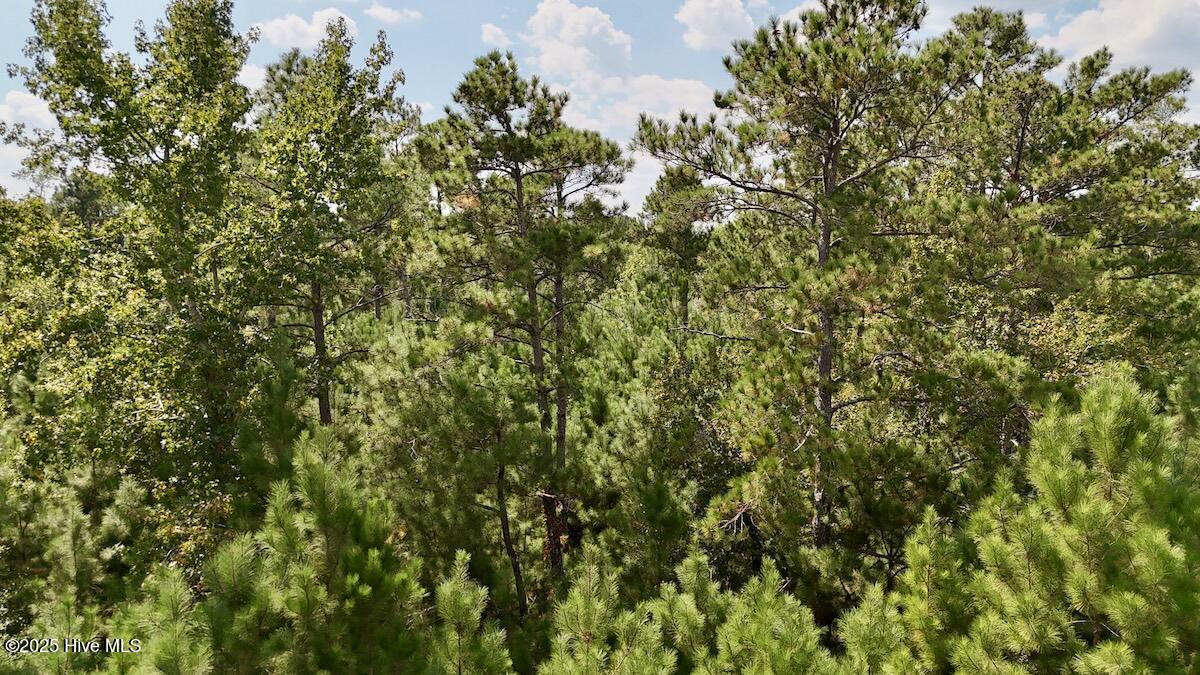 0 7th Street Lumberton, NC 28358 - Photo 27 of 30 27