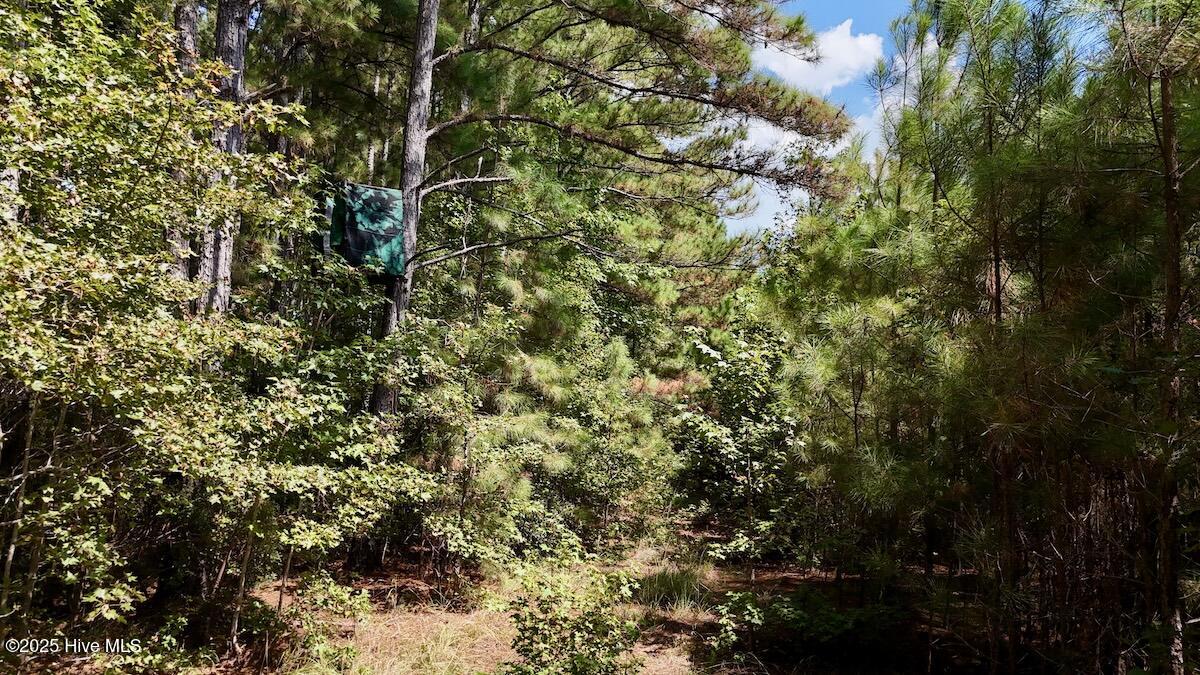 0 7th Street Lumberton, NC 28358 - Photo 28 of 30 28