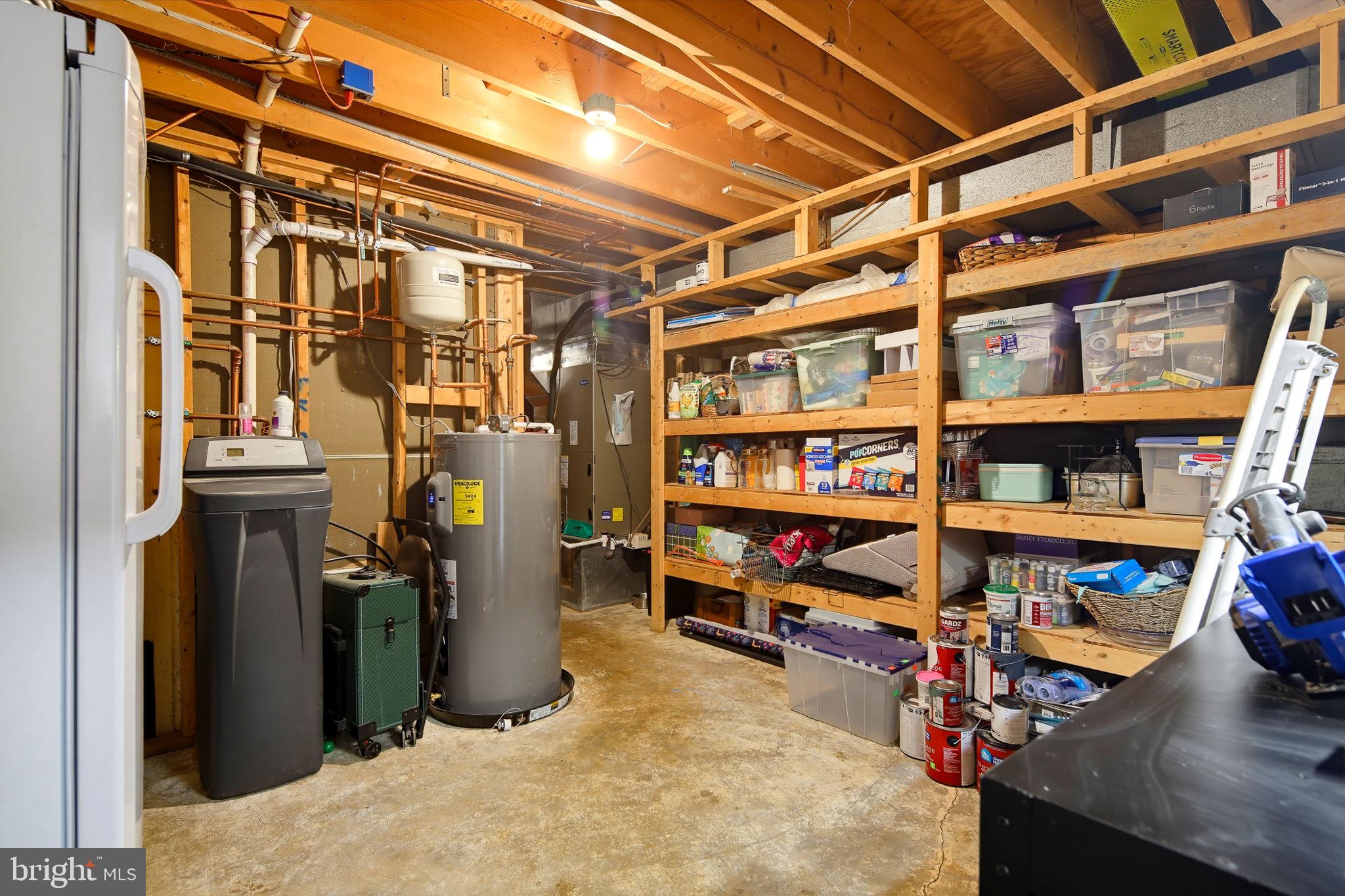 1238 Shepherds Mill Road Berryville, VA 22611 - Photo 22 of 54 Utility rm with freezer,storage and water softner