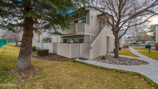 a view of a backyard with a tree