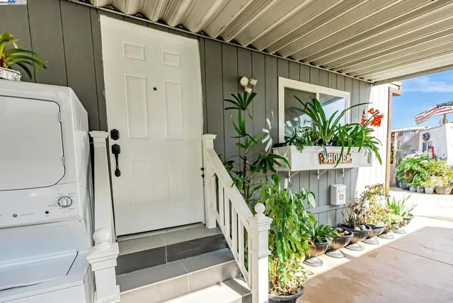 a potted plant sitting in front of a house
