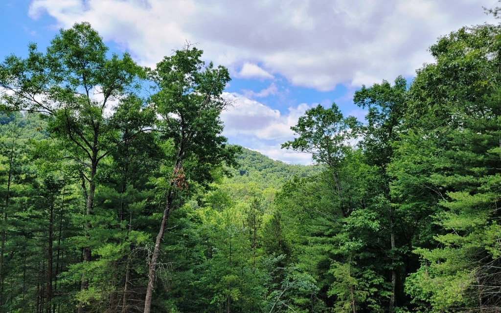 0 Cedar Ridge Drive Murphy, NC 28906 - Photo 1 of 4 Main View
