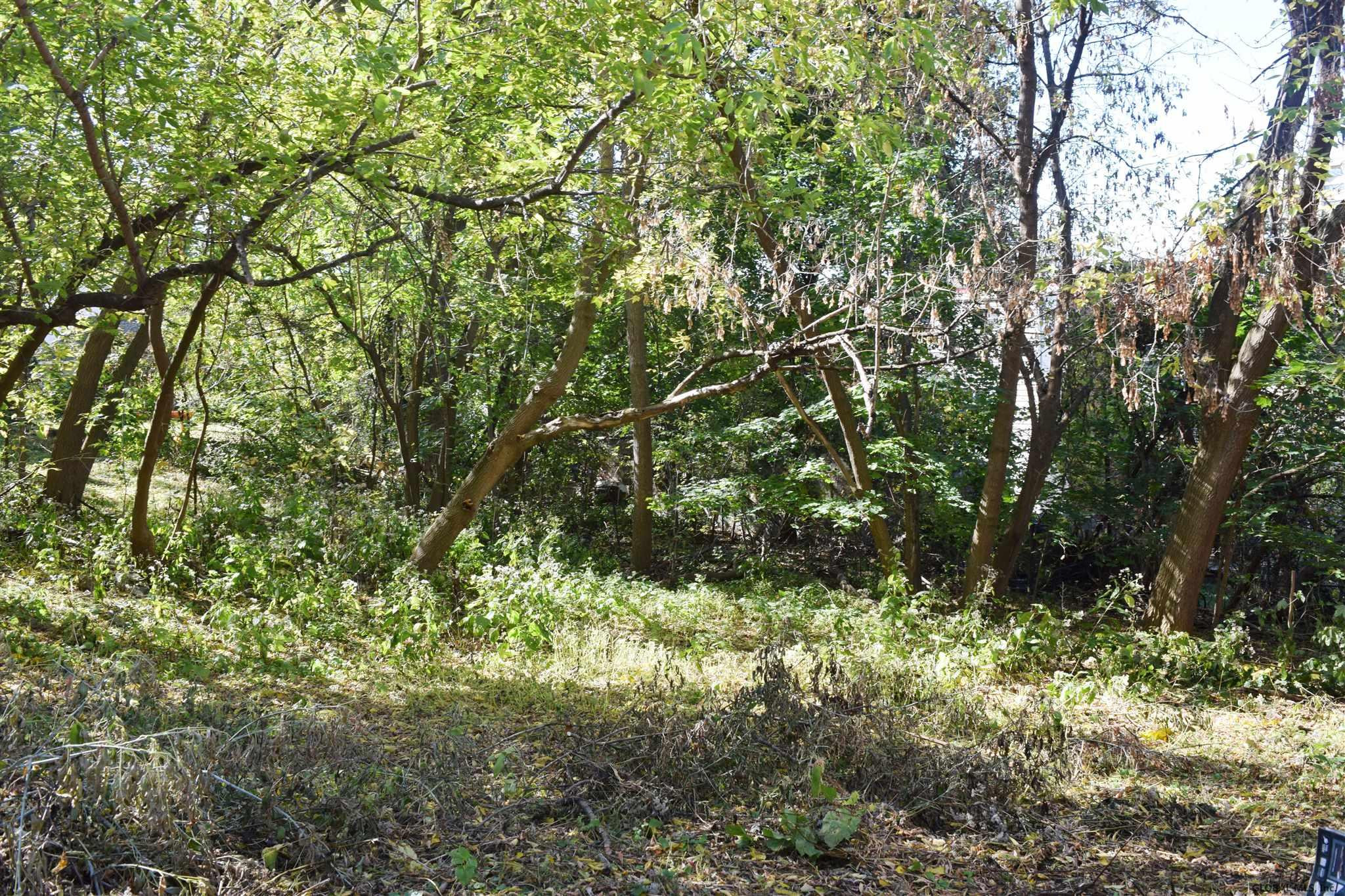 169 10th Street Troy, NY 12180 - Photo 5 of 18 Photo 5