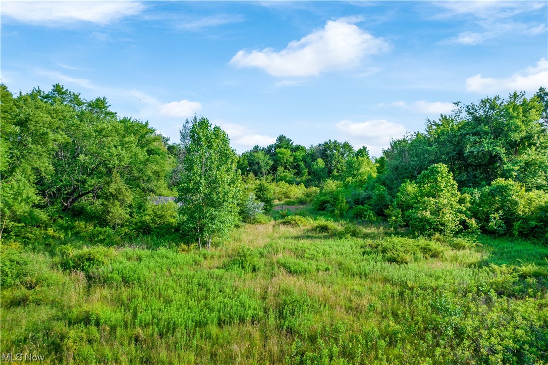 2096 McCoy Road Akron, OH 44320 - Photo 11 of 18 Gallery Image 11