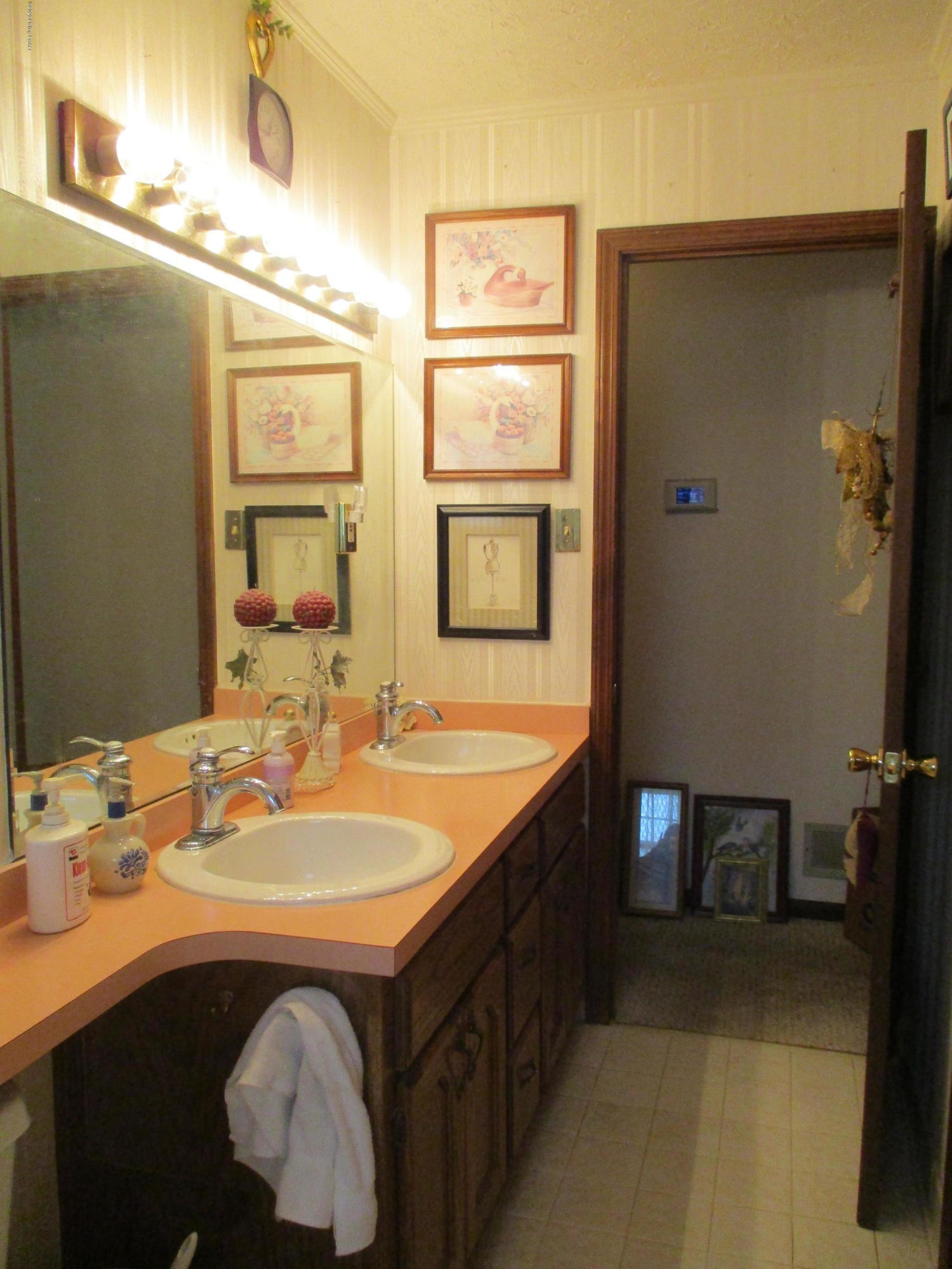 861 Castlerock Drive Shepherdsville, KY 40165 - Photo 23 of 31 IMG_0318