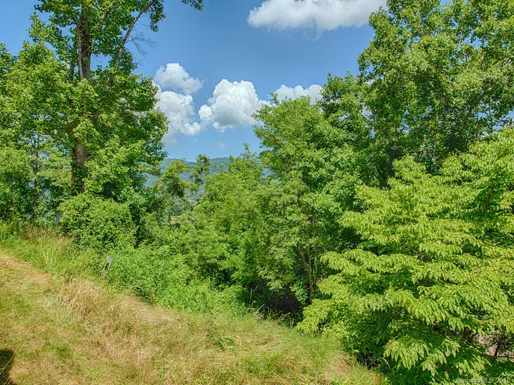 90 Laurel Ridge Road, Unit 4 & 5 Canton, NC 28716 - Photo 3 of 20