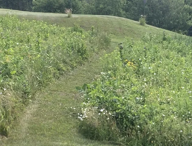 $559,900 | 138 Trow Hill Road, Sunapee, NH 03782