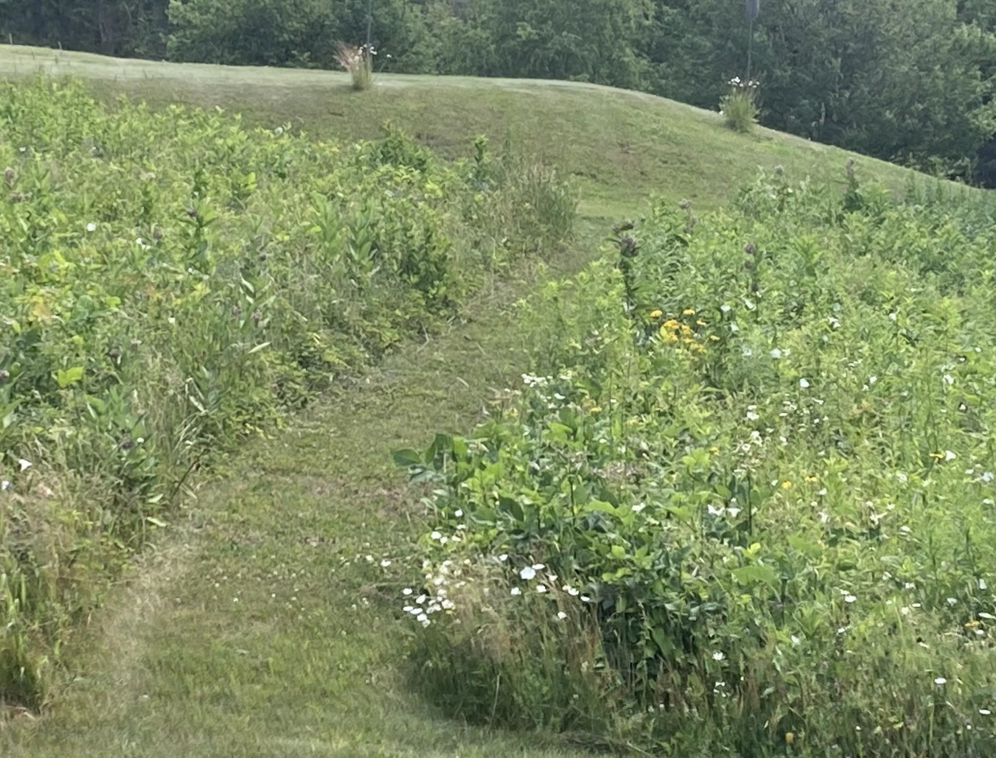 138 Trow Hill Road Sunapee, NH 03782 - Photo 5 of 33