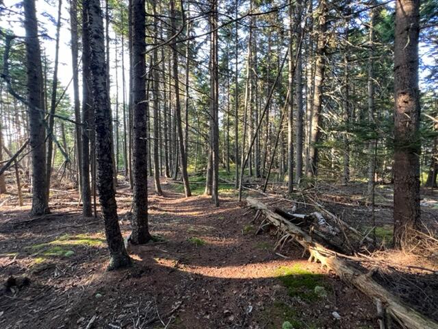 0 Fifield Point Road Stonington, ME 04681 - Photo 7 of 10 shepard 6