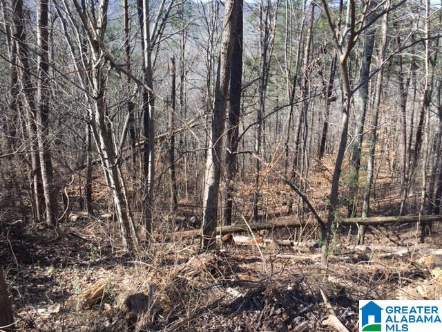 1865 Levine Road Odenville, AL 35120 - Photo 20 of 23