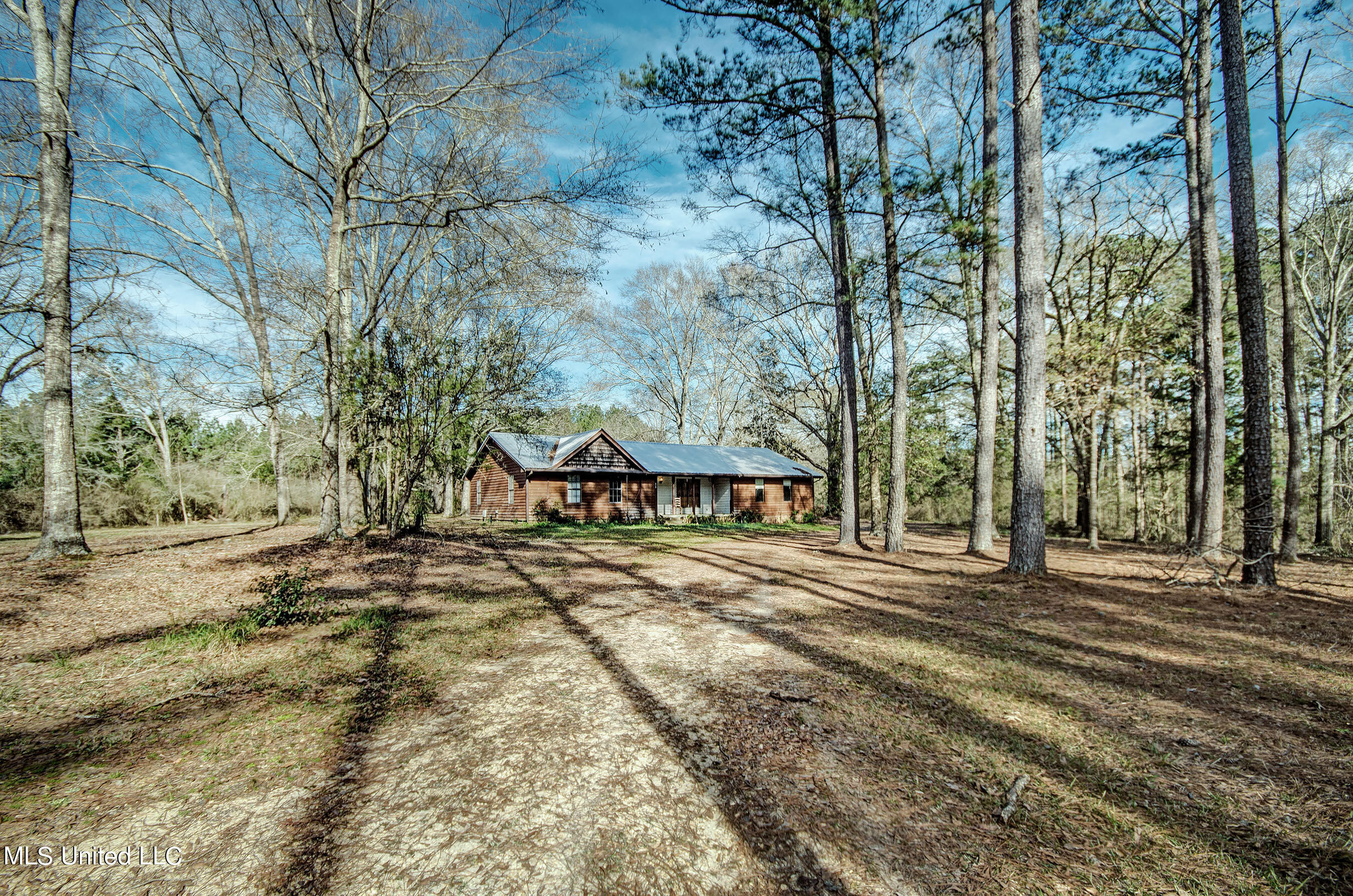 520 Gum Springs Road Braxton, MS 39044 - Photo 1 of 20 IMGP1451_2_3