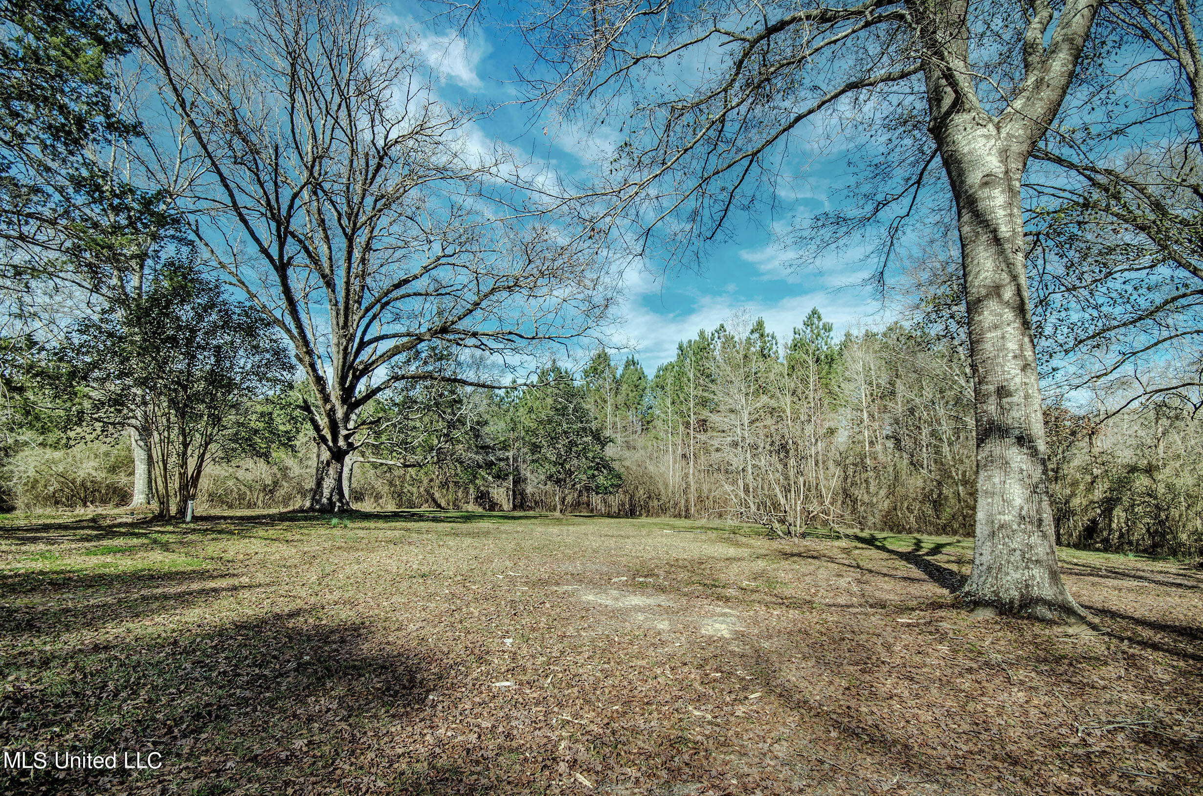 520 Gum Springs Road Braxton, MS 39044 - Photo 6 of 20 IMGP1475_6_7
