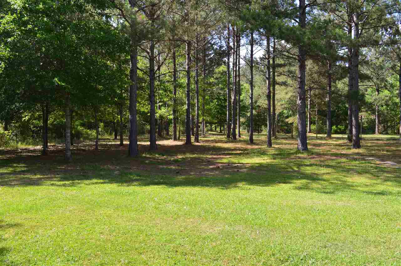 13887 Harley Court Stapleton, AL 36578 - Photo 3 of 31