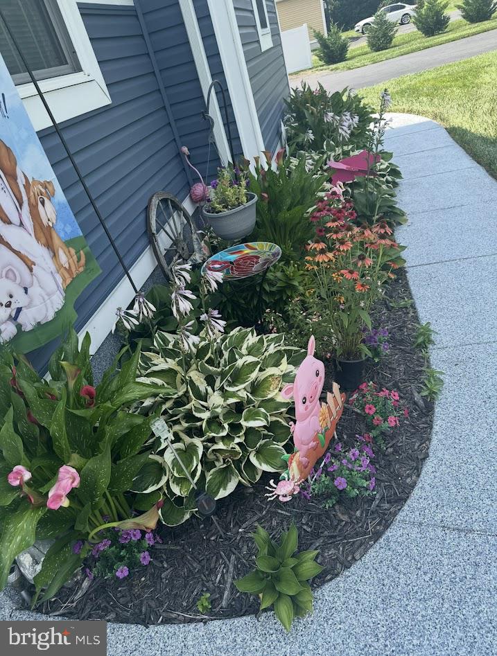 7082 Cannon Road Bridgeville, DE 19933 - Photo 58 of 67 Summer