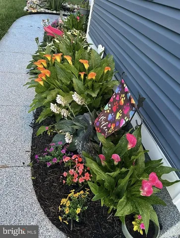 $500,000 | 7082 Cannon Road, Bridgeville, DE 19933