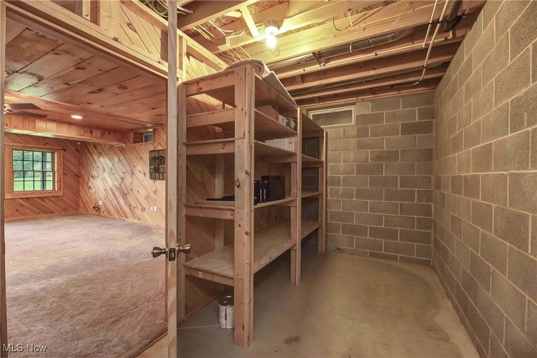 8164 Vandemark Road Lodi, OH 44254 - Photo 39 of 50 Storage room in the basement with block wall and built-in shelving unit