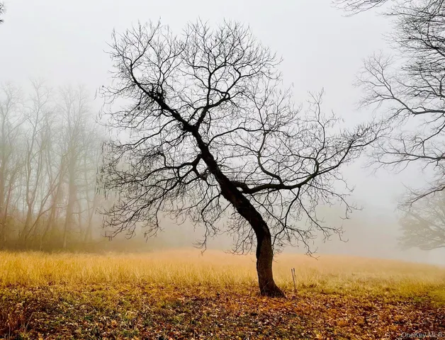 a view of yard covered with snow