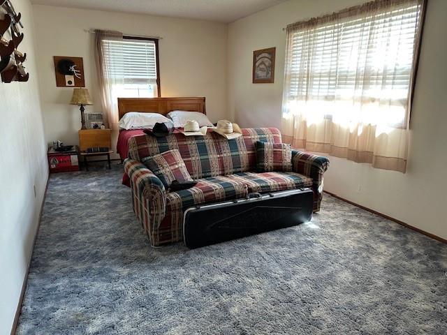 521 East McKay Street Frontenac, KS 66763 - Photo 22 of 65