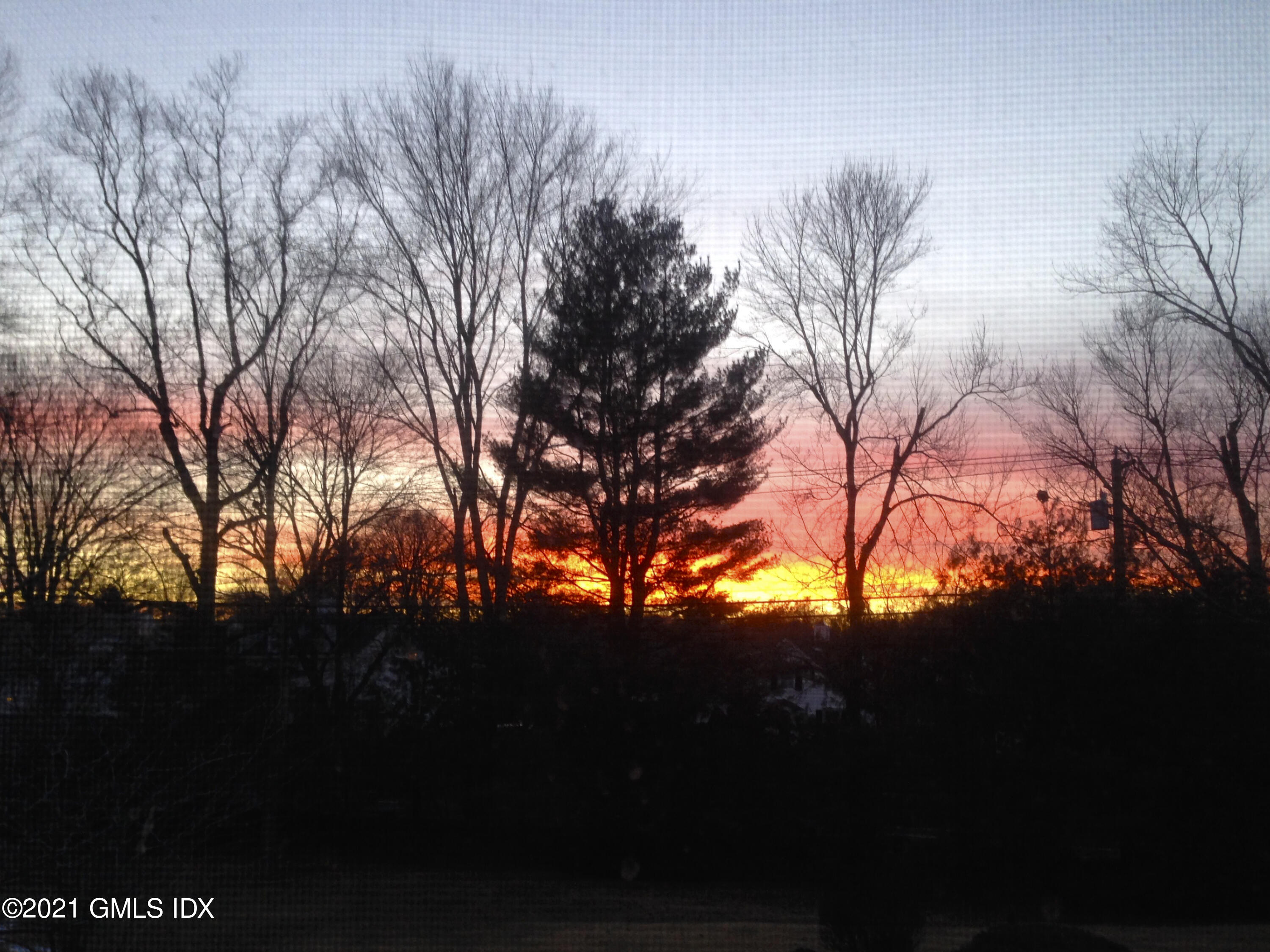 387 Stanwich Road Greenwich, CT 06830 - Photo 35 of 50 a view of tree in between two trees