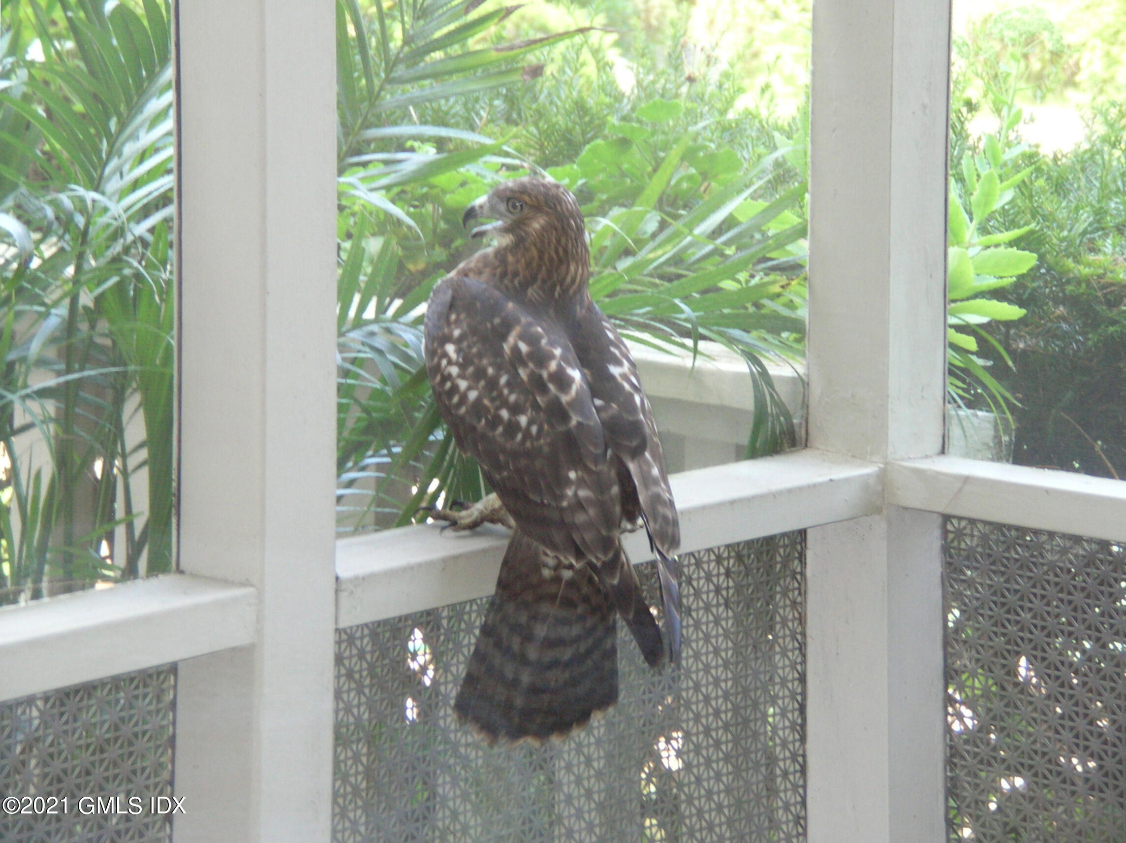 387 Stanwich Road Greenwich, CT 06830 - Photo 45 of 50