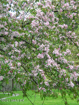 387 Stanwich Road Greenwich, CT 06830 - Photo 47 of 50 a view of a lush green field