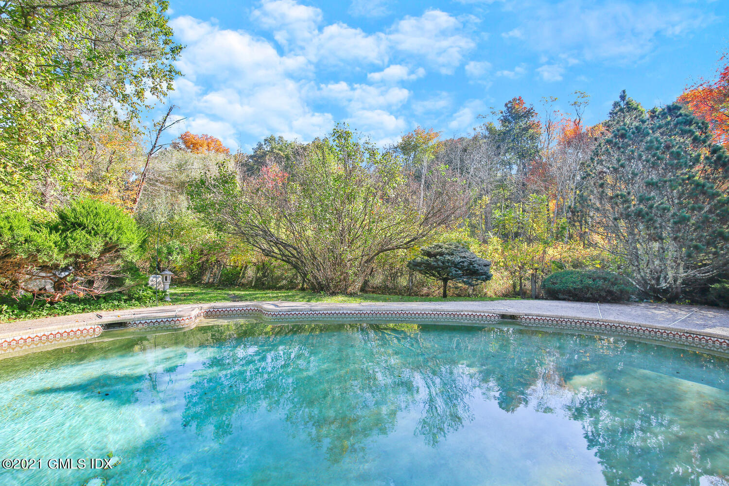 387 Stanwich Road Greenwich, CT 06830 - Photo 6 of 50 a view of yard with trees