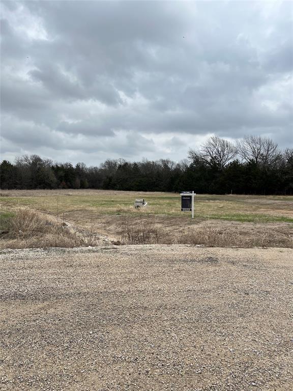 Lot 9 Cedar Springs Drive Decatur, TX 76234 - Photo 20 of 20