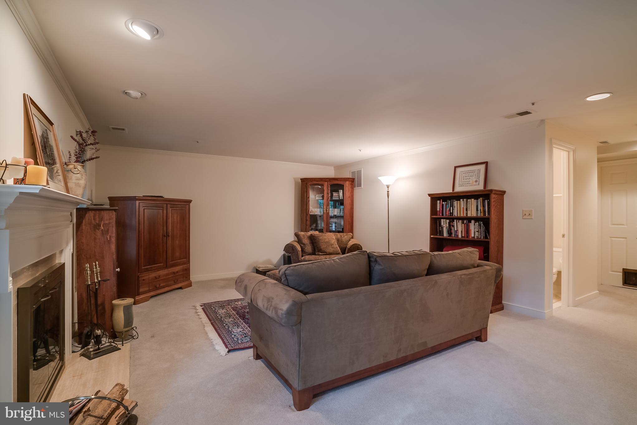 10922 Rocky Mt Way Silver Spring, MD 20902 - Photo 25 of 27 Lower Level Family Room