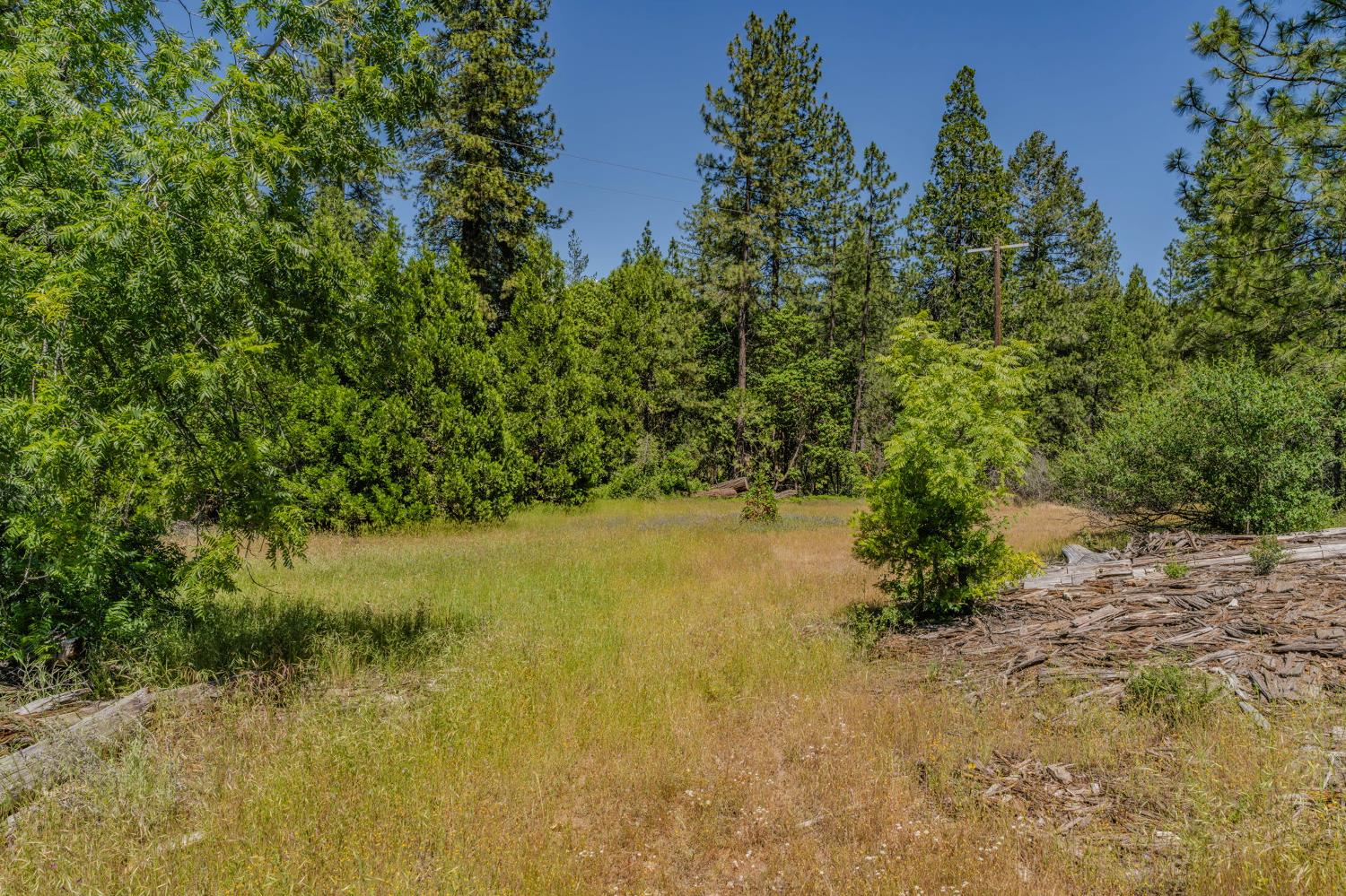 0 Schaefer Ranch Road Pioneer, CA 95666 - Photo 23 of 72