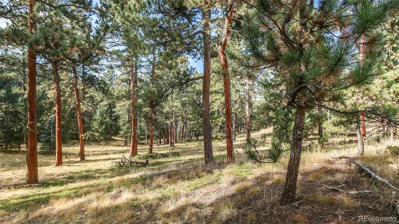 Potato Patch Road Evergreen, CO 80439 - Photo 3 of 20 Gallery Image 3