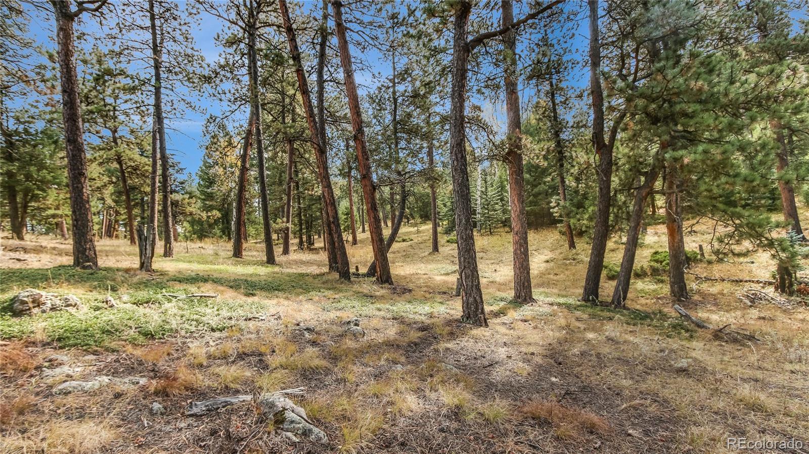 Potato Patch Road Evergreen, CO 80439 - Photo 4 of 20 Gallery Image 4