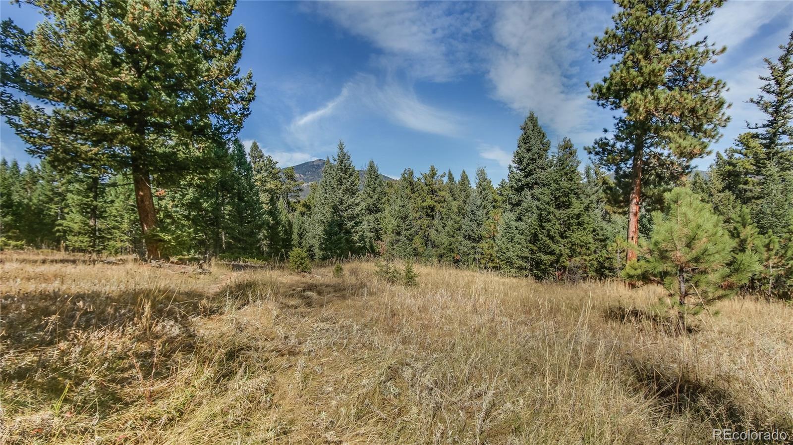 Potato Patch Road Evergreen, CO 80439 - Photo 5 of 20 Gallery Image 5