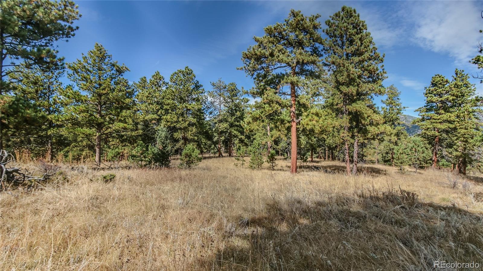 Potato Patch Road Evergreen, CO 80439 - Photo 7 of 20 Gallery Image 7