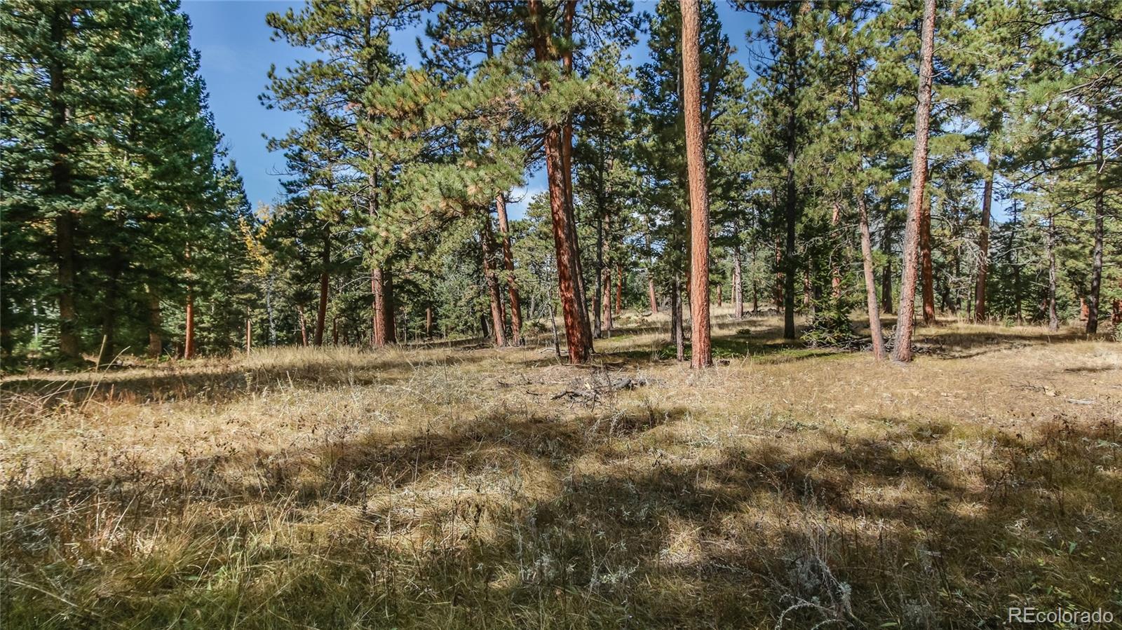 Potato Patch Road Evergreen, CO 80439 - Photo 8 of 20 Gallery Image 8
