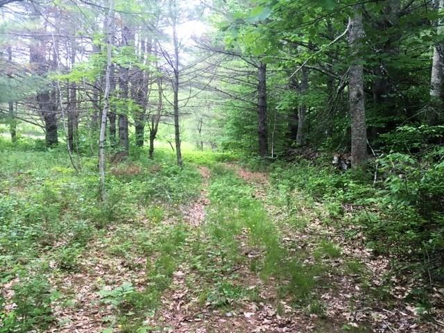 0 Hartshorn Road Morrill, ME 04952 - Photo 19 of 20 Photo