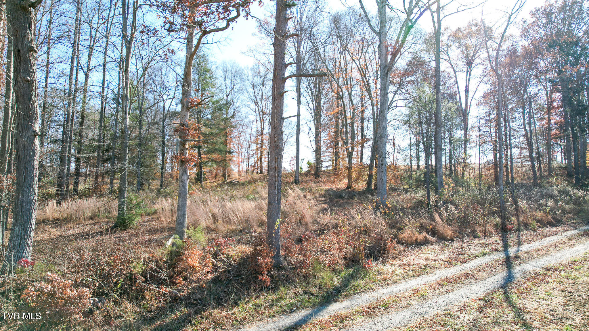 190 Treadway Road Chuckey, TN 37641 - Photo 12 of 28 DJI_0194