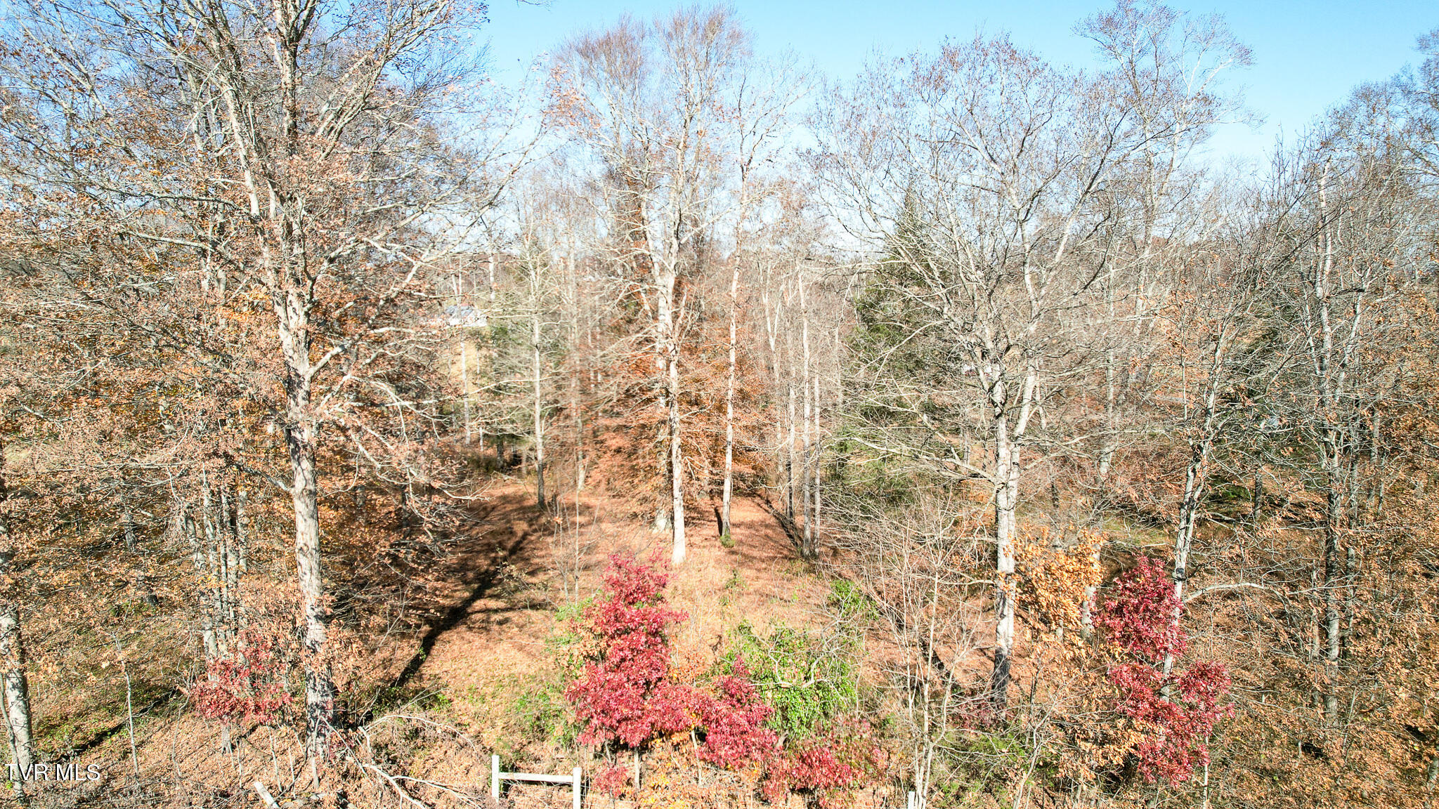 190 Treadway Road Chuckey, TN 37641 - Photo 13 of 28 DJI_0202