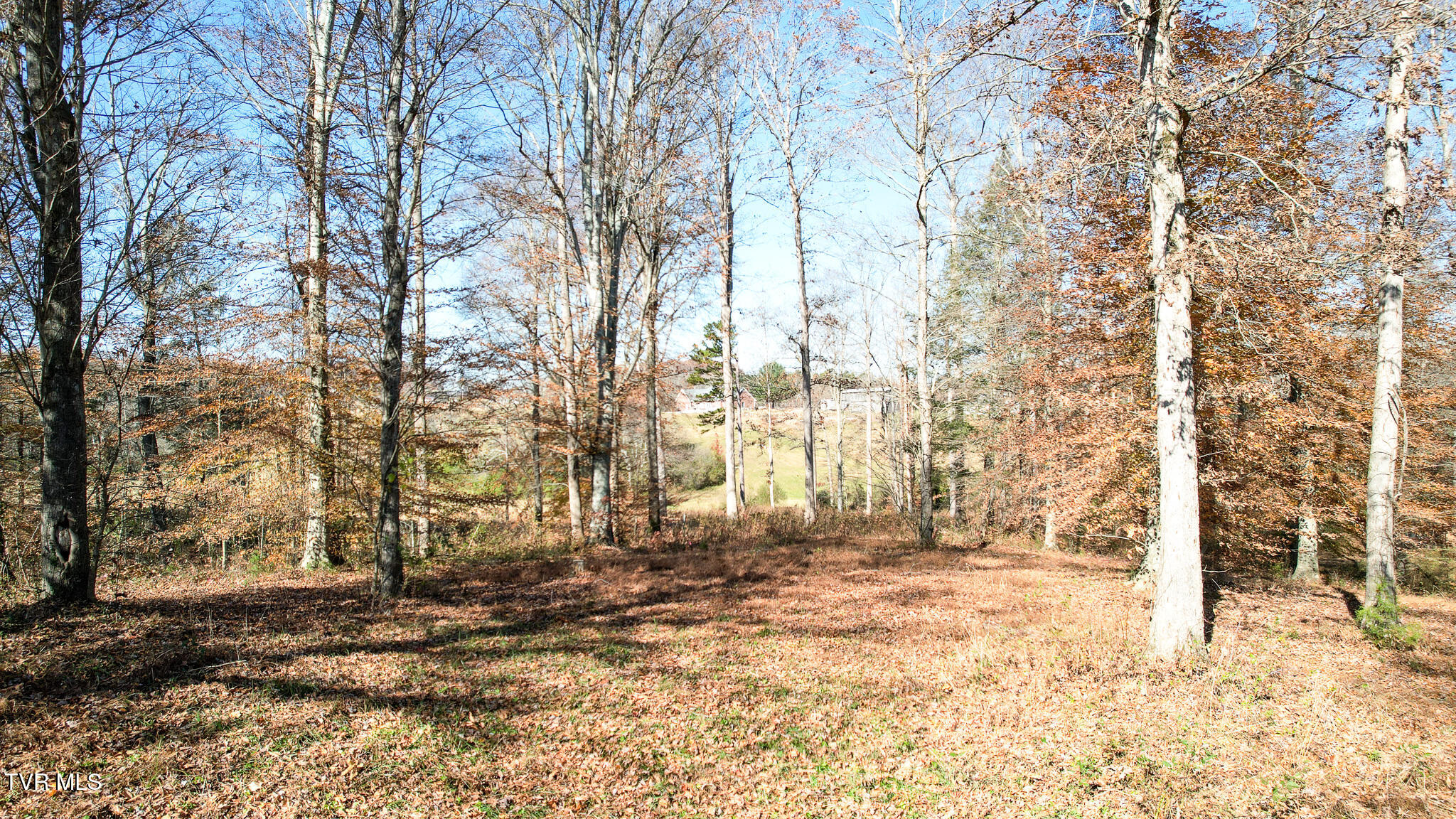 190 Treadway Road Chuckey, TN 37641 - Photo 15 of 28 DJI_0205