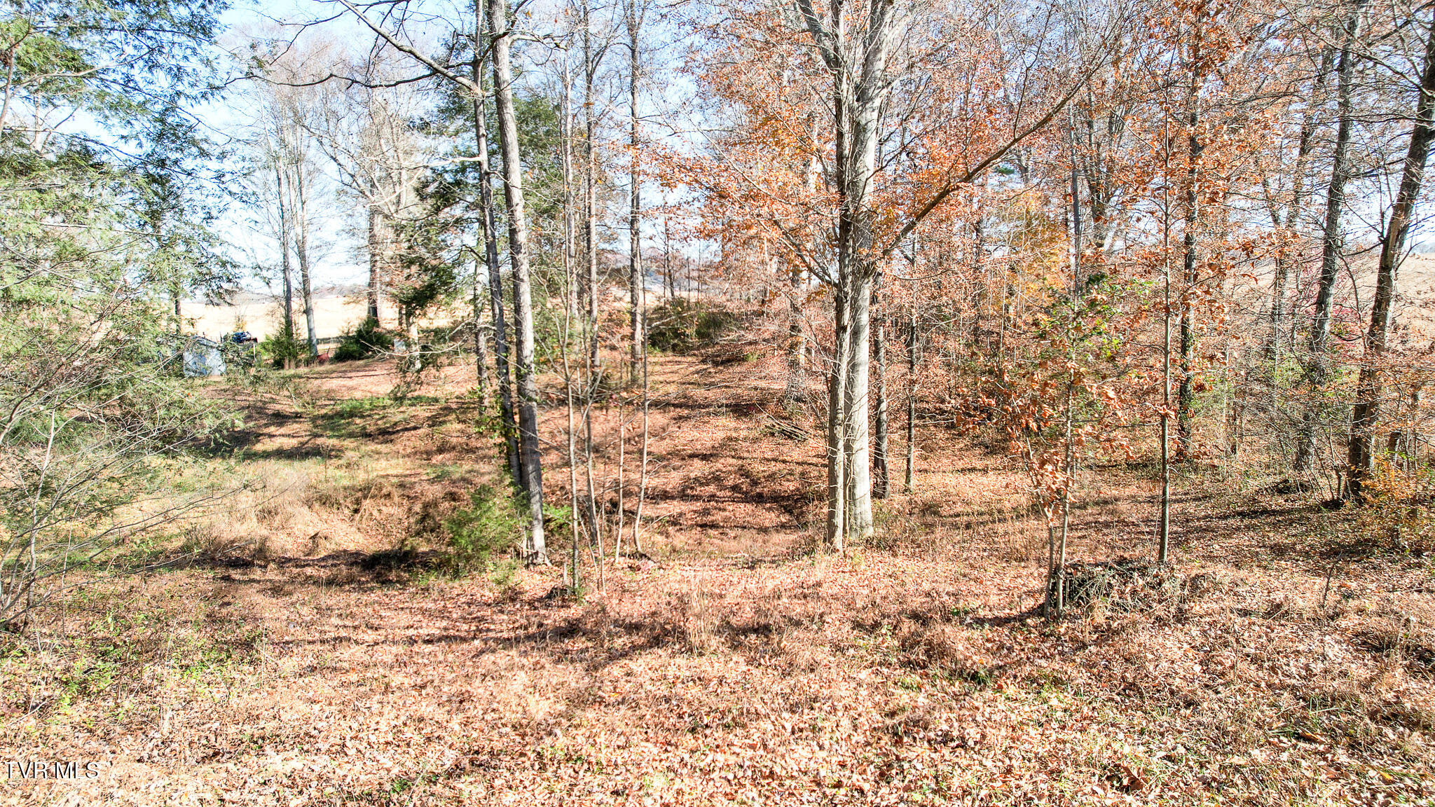 190 Treadway Road Chuckey, TN 37641 - Photo 17 of 28 DJI_0212