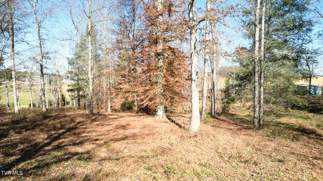 $125,000 | 190 Treadway Road, Chuckey, TN 37641