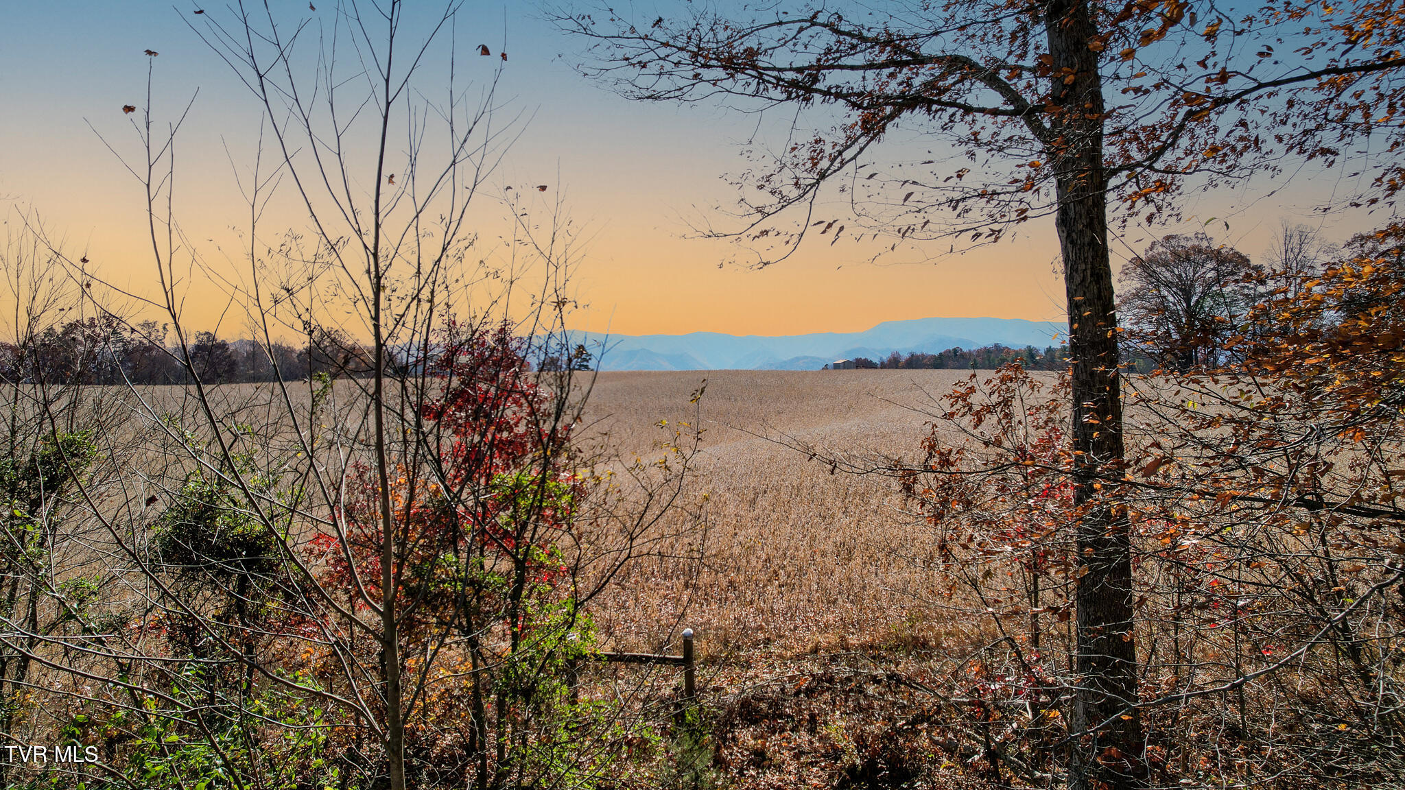190 Treadway Road Chuckey, TN 37641 - Photo 20 of 28 DJI_0218-Edit