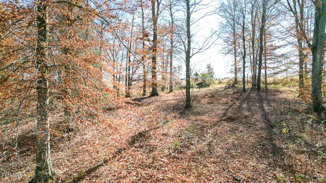 $125,000 | 190 Treadway Road, Chuckey, TN 37641