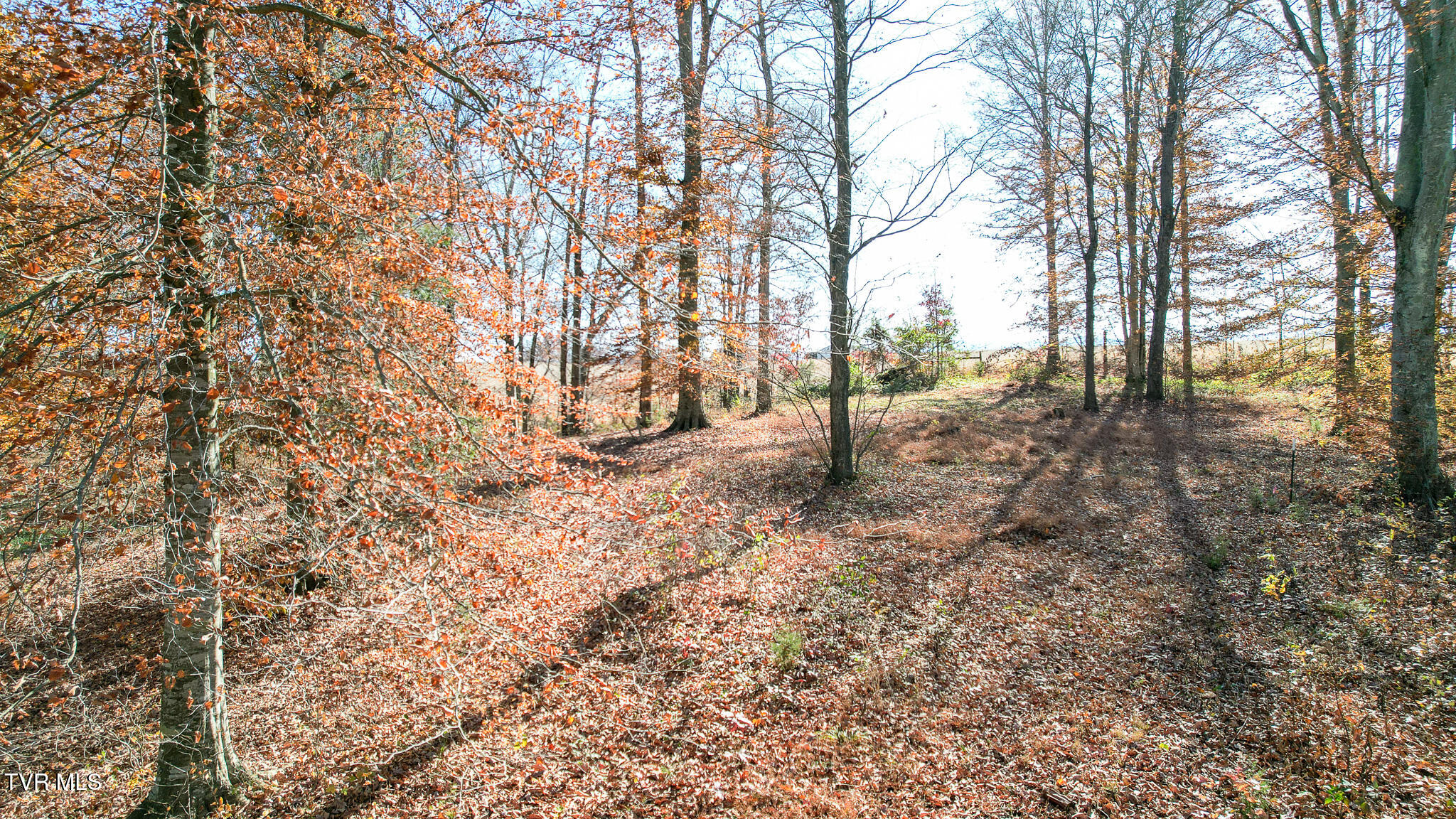 190 Treadway Road Chuckey, TN 37641 - Photo 22 of 28 DJI_0224