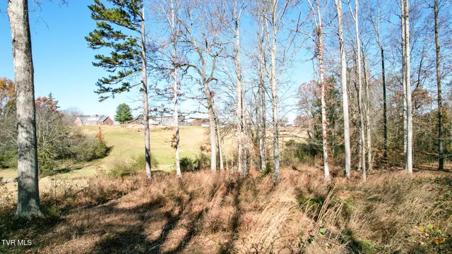 $125,000 | 190 Treadway Road, Chuckey, TN 37641